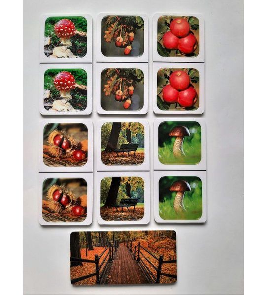 Denkspel voor mensen met dementie FotoDomino Herfst