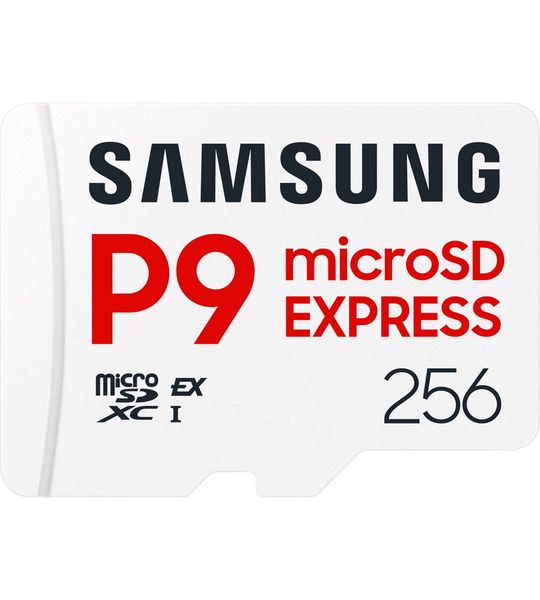 Samsung P9 Express microSDXCâ¢ Express Card 256GB