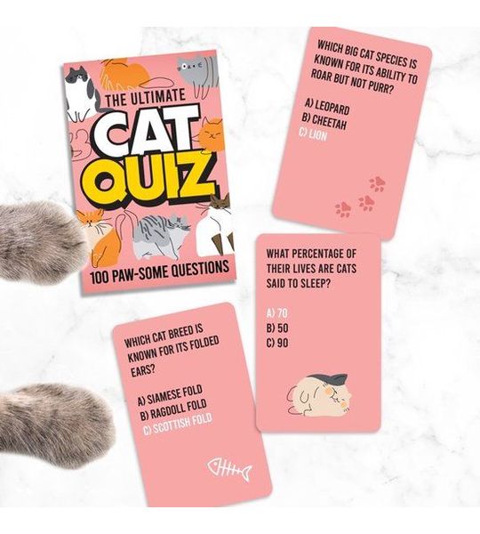 Gift Republic Cat Quiz Cards kaartspel