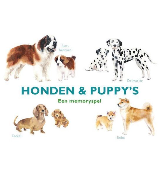 Honden & Puppy's