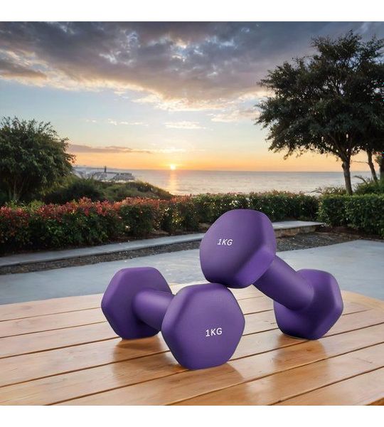 Halters Set Van 2 x 1 kg – Lichtgewicht Training