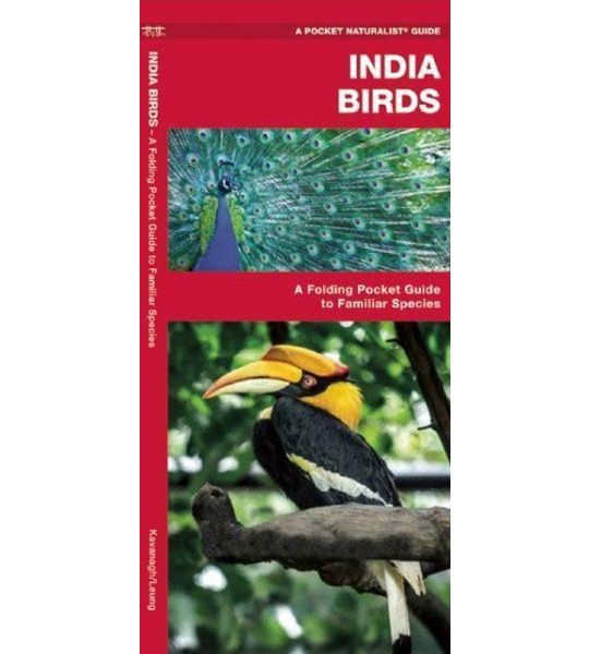 India Birds