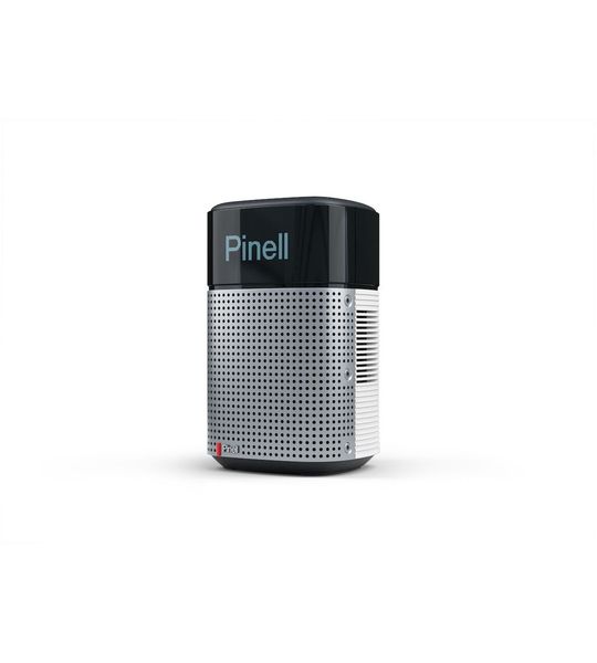 Pinell North Internet radio Wit