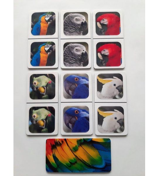 Denkspel voor mensen met dementie FotoDomino Papagaaien