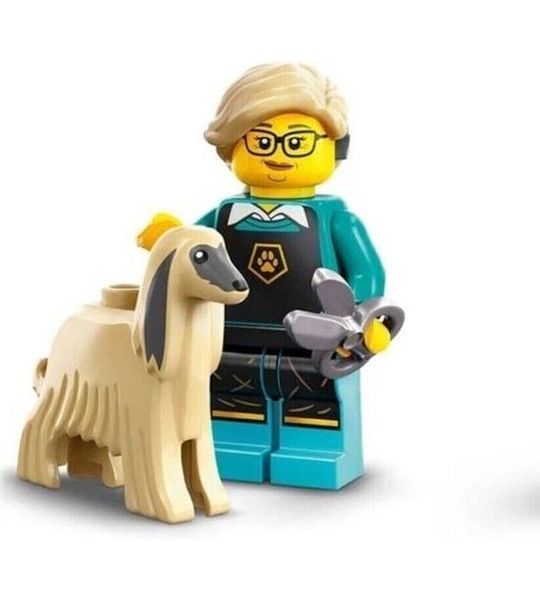 LEGO® Minifiguren Serie 25 - 71045 - Pet Groomer