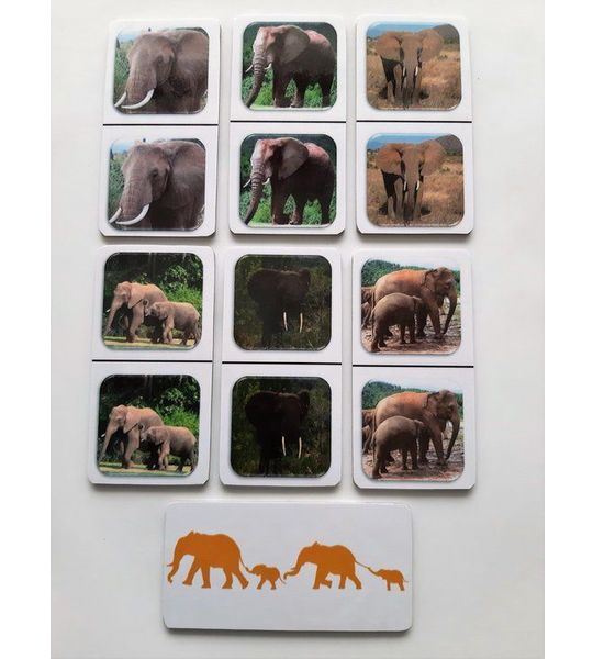 Denkspel voor mensen met dementie FotoDomino Olifanten
