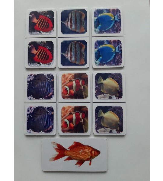 Denkspel voor mensen met dementie FotoDomino Tropische Vissen