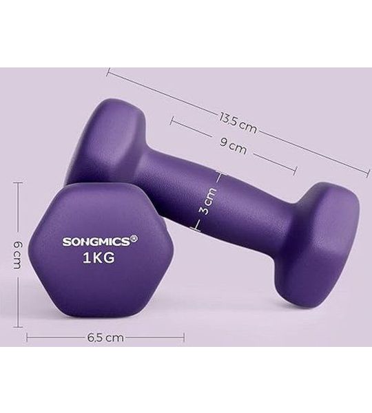dumbbell set 2 x 1 kg