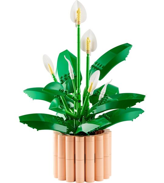 LEGO Botanicals Lepelplant Bloemen - 11504