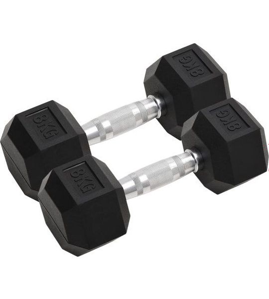 vidaXL-Halters-2-st-16-kg-gietijzer
