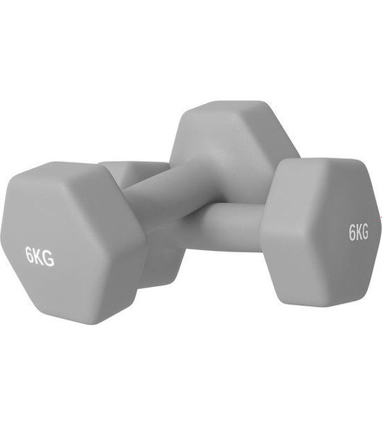 SPORTNOW Rubberen Dumbbell Metaal, Kunststof 22L x 10B x 10H cm Grijs