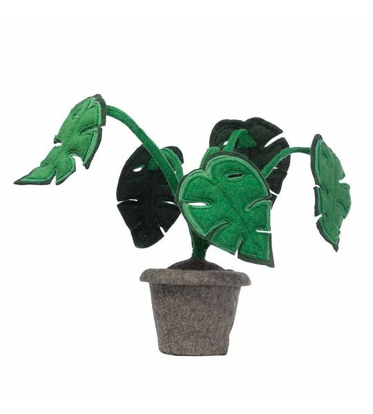 KidsDepot Plant - Monstera