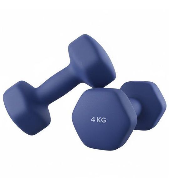Halters – Set van 2 – 4 kg – Blauw