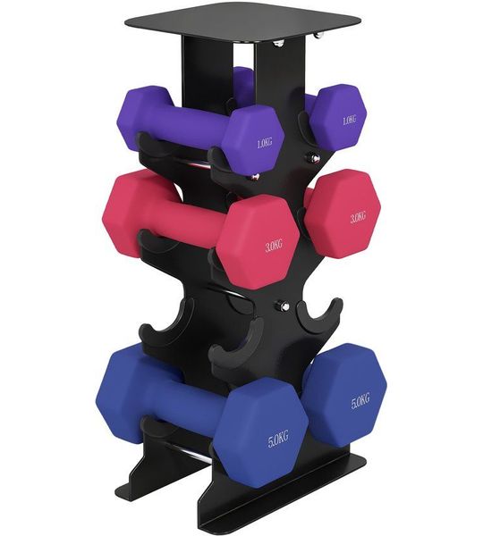 SPORTNOW Halterset-Metaal, Kunststof-21L x 14B x 42H cm-Paars+Roze+Blauw