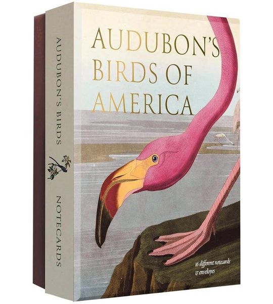 Abbeville Notecards- Audubon's Birds of America - Notecard Set