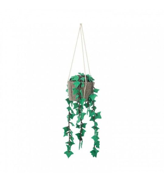 KidsDepot Hangplant Hedera