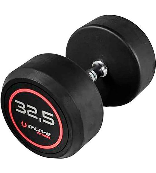 Olive Rubber Pro-style 32.5kg Dumbbell Zilver 32.5 kg