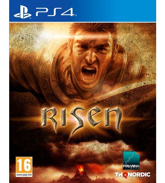 Koch Software Risen Playstation 4