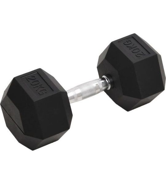 vidaXL-Halters-20-kg-gietijzer