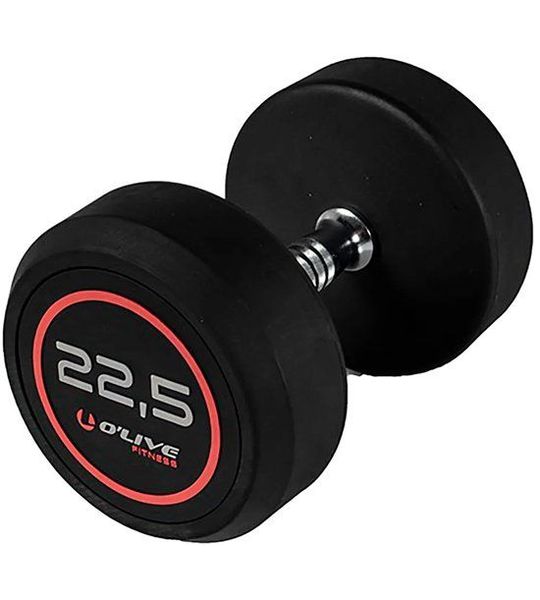 Olive Rubber Pro-style 22.5kg Dumbbell Zilver 22.5 kg