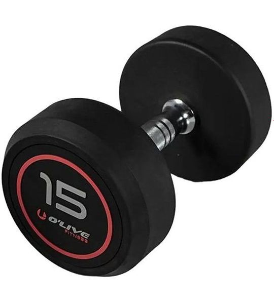 Olive Rubber Pro-style 15kg Dumbbell Zilver 15 kg