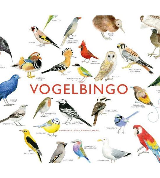 Vogelbingo