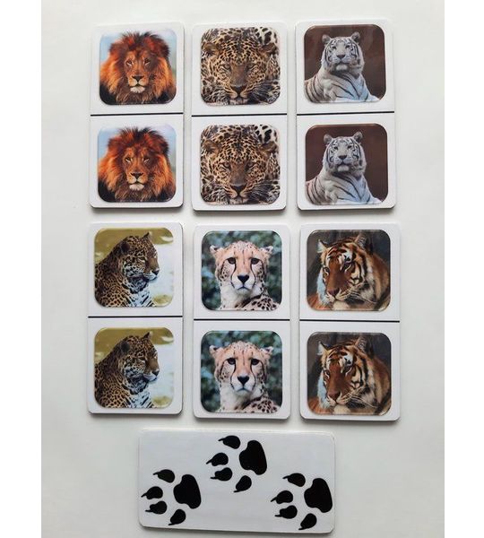 Denkspel voor mensen met dementie FotoDomino Katachtigen