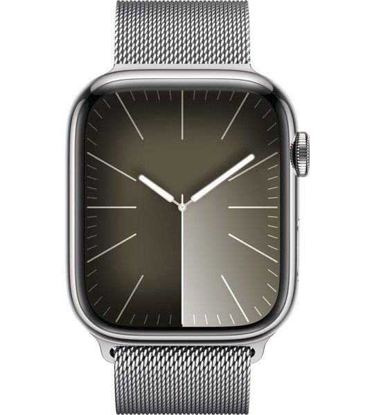 Apple 45 Mm Silver Milanees Bandje