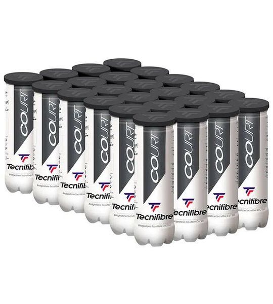 Tecnifibre Court Tennisballen Doos Zilver 36 x 4 Balls