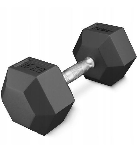 4FIZJO houder Gietijzer Gecoat 15 kg - krachttraining & fitness