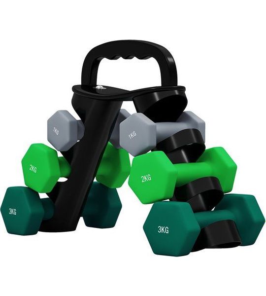 TEKROA®Dumbbells - Halterset - met opbergrek, 2 x 1 kg, 2 x 2 kg, 2 x 3 kg