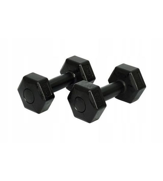 Set van 2x 1kg Halters - Bitumineus, Ideaal voor Fitness