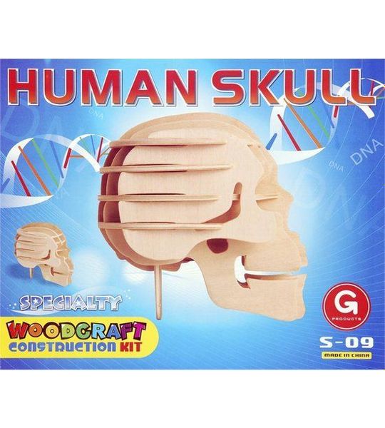 Houten bouwpakket Skull S-09