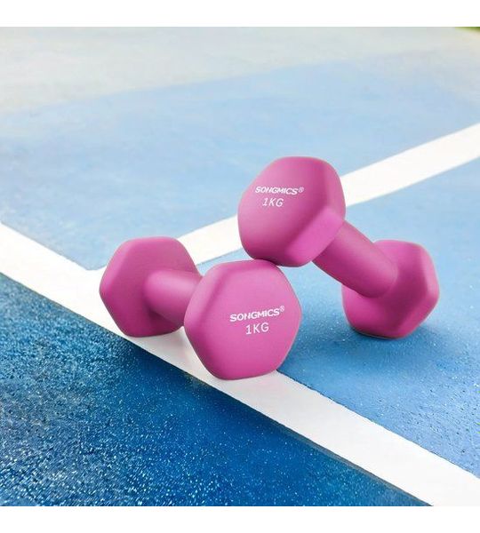 Halterset - 2 Halters - Voor Thuistraining - Pink - 13,5 x 6,5 cm