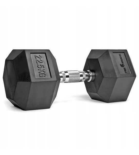 Merkloze Halter 22,5 kg - Rubberen Gewicht voor Krachttraining