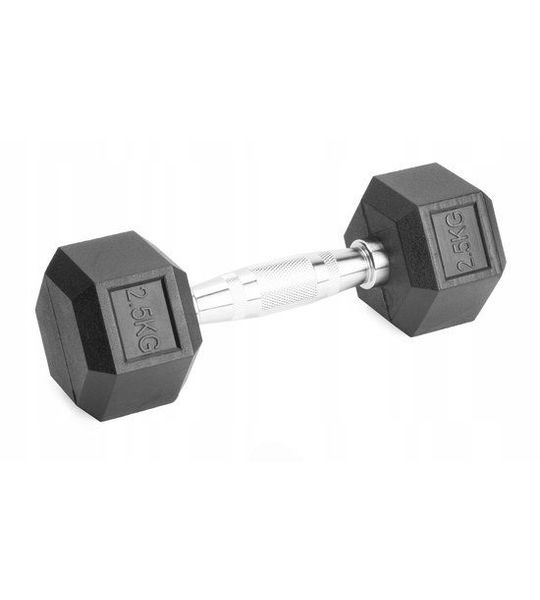 Gegoten Halter 2,5 kg - Rubberen Hexagonale Krachtraining