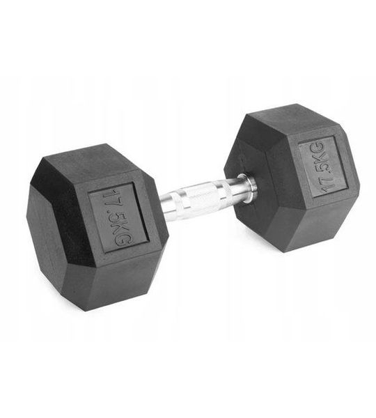Merkloos Merkloze Halter 17,5 kg - Gecoat IJzer voor Krachttraining