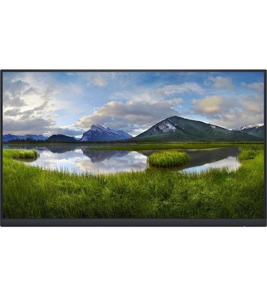 DELL P2422HE_WOST - 23.8" - Geen standaard