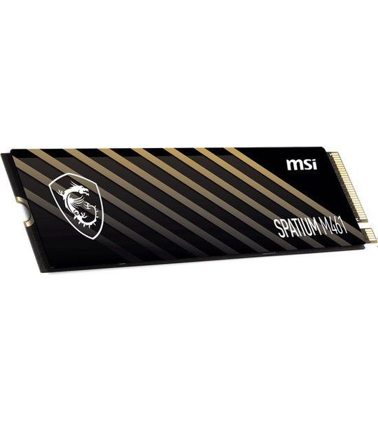 MSI SPATIUM M461 - 1 TB