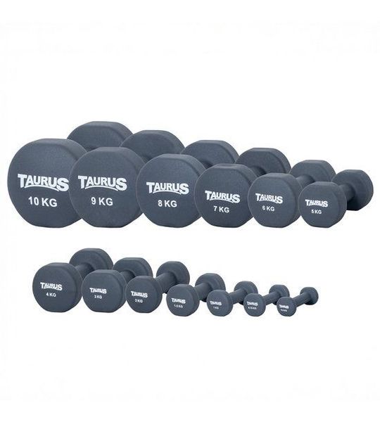 Taurus Neopreen Studio Dumbbell Set 1 t/m 10 kg