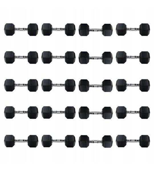 Hex Hantel Set 2x 1-10 kg - 110 kg Gummeerd