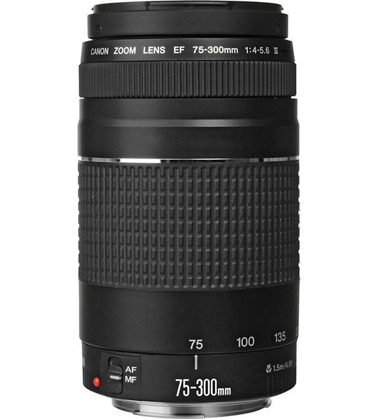 Canon EF 75-300mm f/4.0-5.6 III